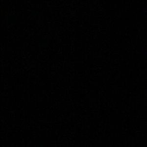 Meet your Posher, Darius